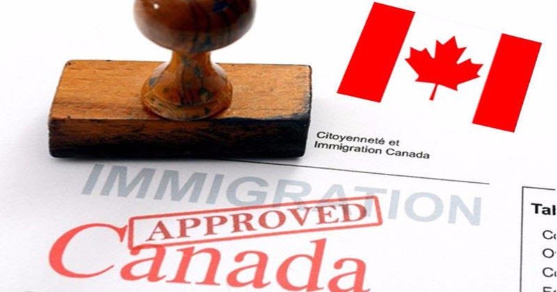 Immigration Programs - Explore your options to get in Canada