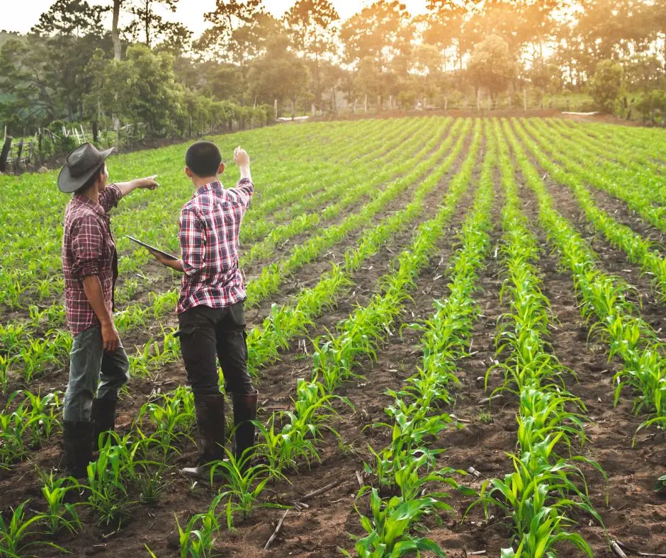 Canada Plans to Welcome 30,000 Immigrants to Target the Farmer Shortage in Canada