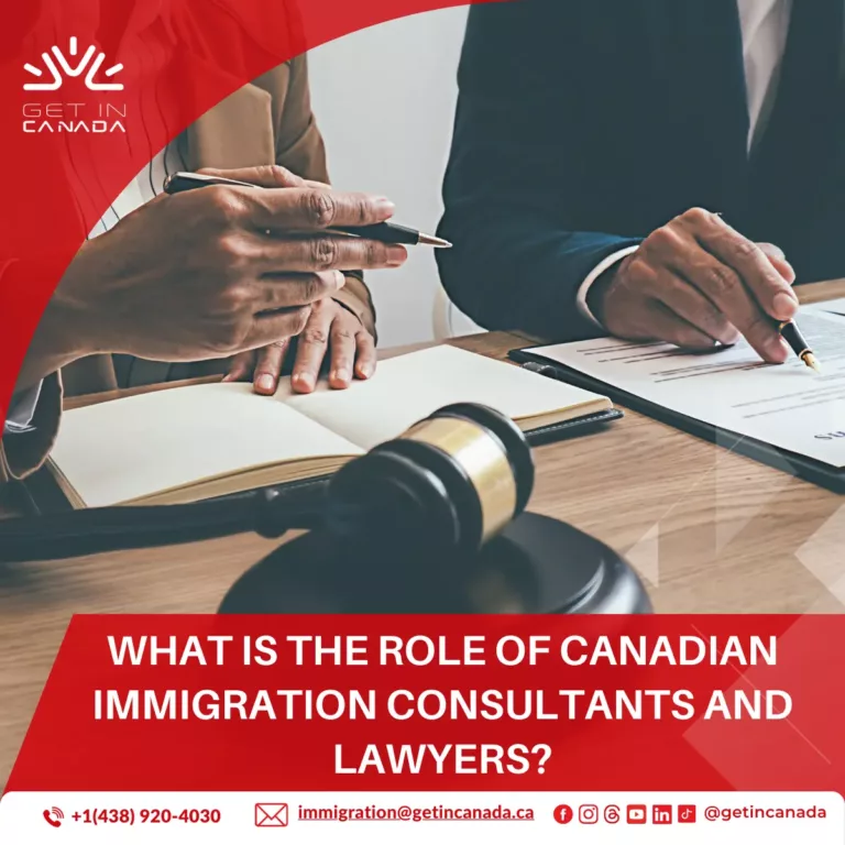 What is the role of Canadian immigration consultants and lawyers?