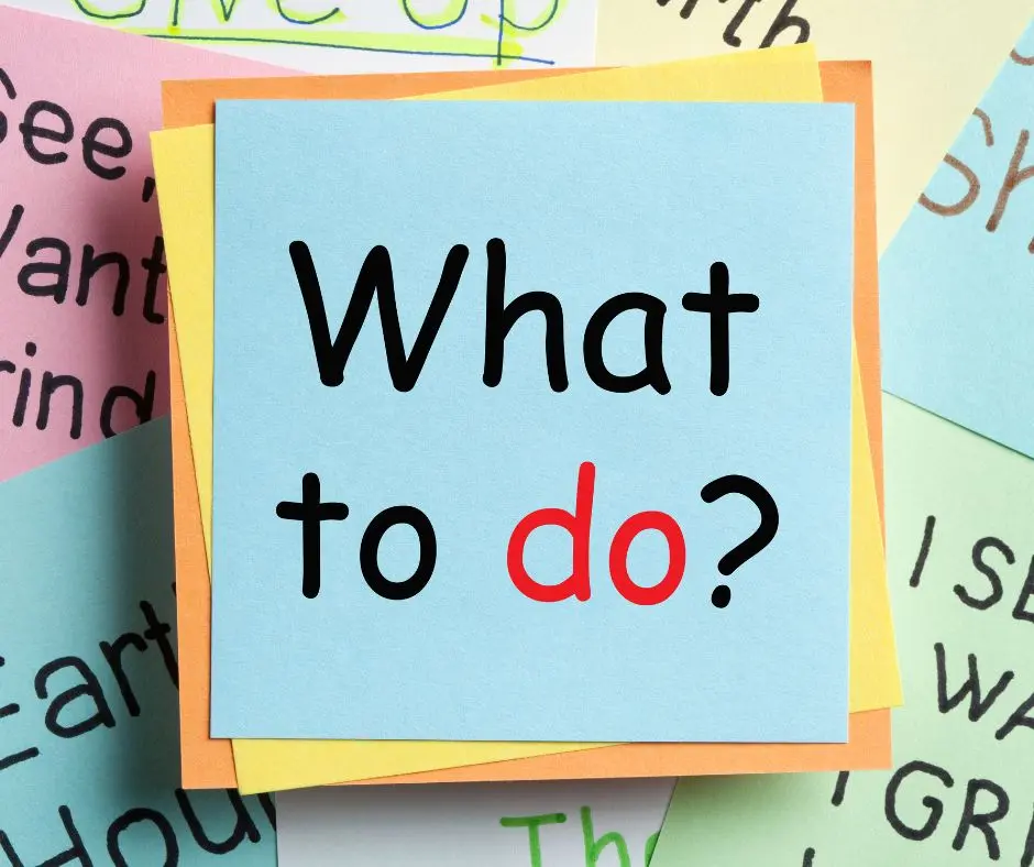 Study permit rejected? Here’s what to do next
