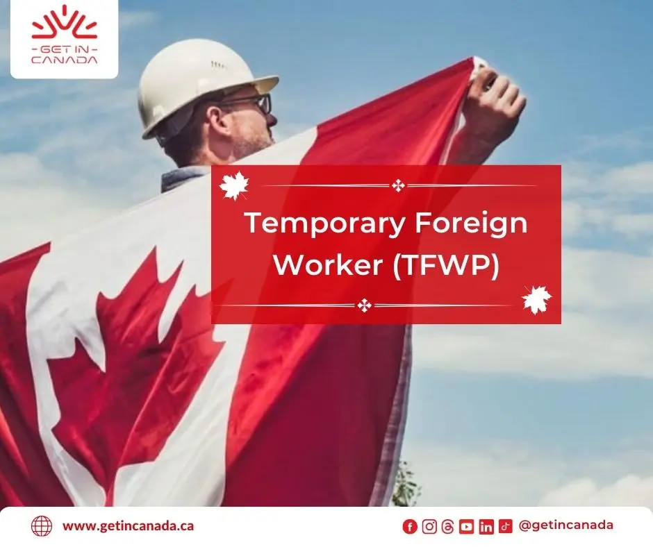 Temporary Foreign Worker (TFWP)