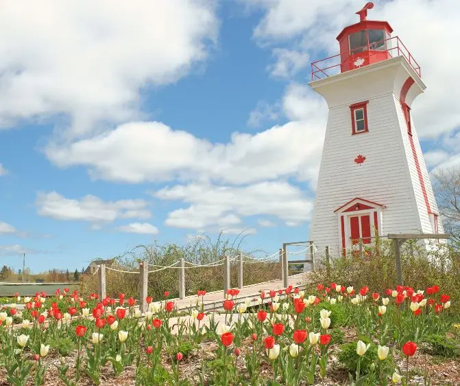 Prince Edward Island Entrepreneur